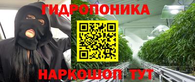 прущие грибы Малгобек